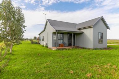 Farm Sold - VIC - Boisdale - 3860 - EXPRESSIONS OF INTEREST INVITED - FULLY RENOVATED HOME & LAND ON RENOWNED BOISDALE FLATS  (Image 2)