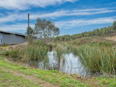 Farm Sold - TAS - Trowutta - 7330 - Escape to the Country  (Image 2)