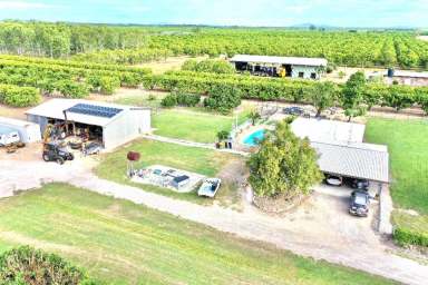 Farm Sold - QLD - Horseshoe Lagoon - 4809 - RURAL RETREAT - Block House - Large  Shed on 7.48Acres  (Image 2)