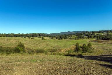 Farm Sold - NSW - Bellingen - 2454 - Small, boutique estate of 1 hectare lots...  (Image 2)