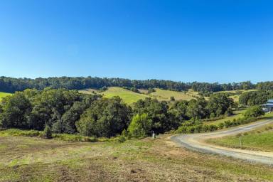 Farm Sold - NSW - Bellingen - 2454 - Small, boutique estate of 1 hectare lots...  (Image 2)