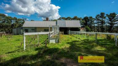 Farm Sold - NSW - Mudgee - 2850 - "Polhaven"  (Image 2)