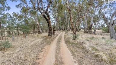 Farm For Sale - VIC - Avenel - 3664 - Land on the Outskirts of Avenel  (Image 2)