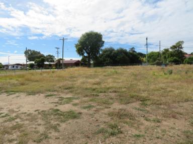 Farm Sold - NSW - Gundagai - 2722 - 1 acre residential block  (Image 2)
