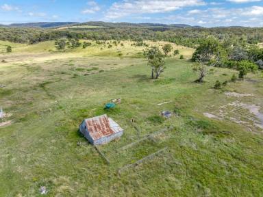 Farm Sold - NSW - Marulan - 2579 - 327 ACRES, 8 TITLES, DUAL CREEK FRONTAGE, FABULOUS LOCATION, CLOSE TO SCHOOLS, TRAIN STATION, SHOPS, ETC, 1.5 HRS SYDNEY METRO, POWER, SEALED ROAD  (Image 2)