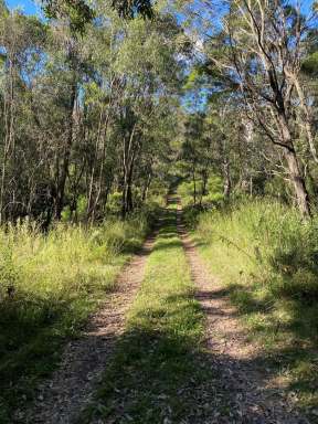 Farm Sold - NSW - Brogo - 2550 - PRIVATE, TRANQUIL AND RELAXING  (Image 2)