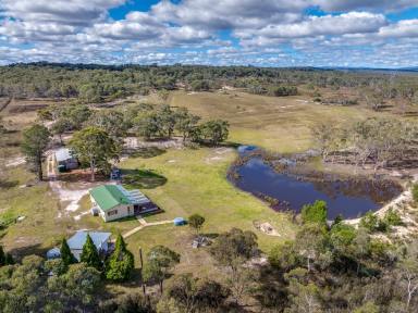 Farm Sold - NSW - Oallen - 2622 - 103 ACRES, PRIVATE RURAL LIFESTYLE AND MOTORCROSS ENTHUSIASTS DREAM.  (Image 2)