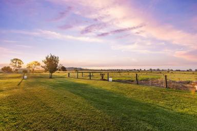 Farm Sold - QLD - Clifton - 4361 - Acreage Living on the Edge of Town  (Image 2)