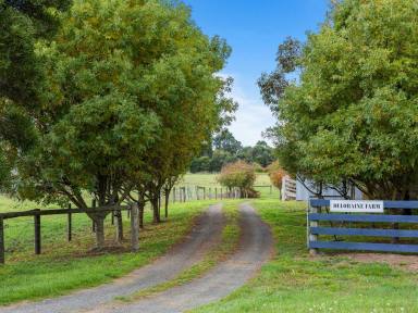 Farm Sold - VIC - Jack River - 3971 - 'Deloraine Farm' - Beautifully Presented, Wonderfully Located  (Image 2)
