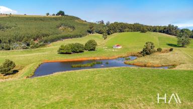 Farm Sold - TAS - Riana - 7316 - A Blue Chip Agricultural Investment Opportunity  (Image 2)