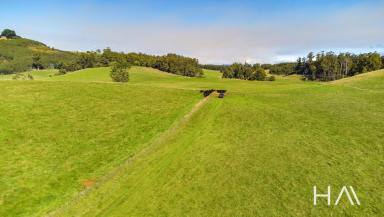 Farm Sold - TAS - Riana - 7316 - A Blue Chip Agricultural Investment Opportunity  (Image 2)