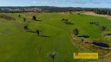 Farm Sold - NSW - Mudgee - 2850 - "Maroombah"  (Image 2)