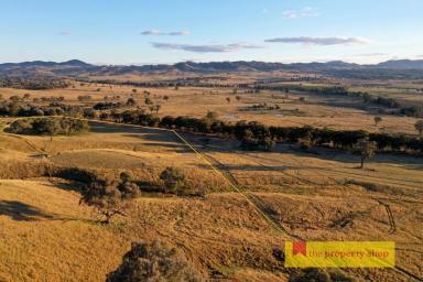 Farm Sold - NSW - Mudgee - 2850 - 39 VACANT ACRES, STUNNING VIEWS, 8KM TO MUDGEE  (Image 2)