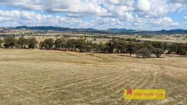 Farm Sold - NSW - Mudgee - 2850 - 39 VACANT ACRES, STUNNING VIEWS, 8KM TO MUDGEE  (Image 2)