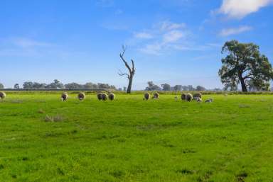 Farm Sold - VIC - Strathmerton - 3641 - EXPRESSIONS OF INTEREST
209 ROCKLIFFS ROAD STRATHMERTON VIC  (Image 2)