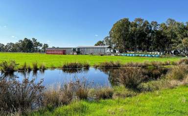 Farm Sold - VIC - Strathmerton - 3641 - EXPRESSIONS OF INTEREST
209 ROCKLIFFS ROAD STRATHMERTON VIC  (Image 2)