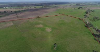 Farm Sold - VIC - Pearsondale - 3851 - EXPRESSIONS OF INTEREST INVITED - RURAL LIFESTYLE RIGHT ON THE EDGE OF TOWN  (Image 2)