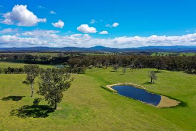 Farm Sold - VIC - Boisdale - 3860 - 16ha (40 ACRES) IN THE FOOTHILLS OF THE GREAT DIVIDING RANGE  (Image 2)