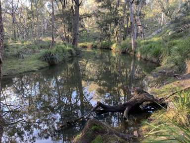 Farm For Sale - NSW - Rylstone - 2849 - Capertee River frontage on large rural holding. Approx. 1038 acres  (Image 2)