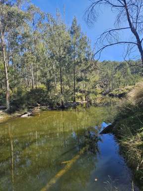 Farm For Sale - NSW - Rylstone - 2849 - Capertee River frontage on large rural holding. Approx. 1038 acres  (Image 2)