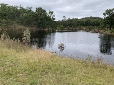 Farm For Sale - NSW - Rylstone - 2849 - Capertee River frontage on large rural holding. Approx. 1038 acres  (Image 2)