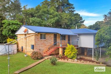Farm Sold - NSW - Moorland - 2443 - BRING YOUR FAMILY AND YOUR HORSES TOO  (Image 2)