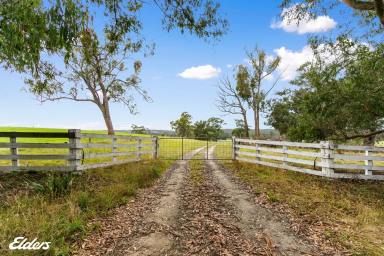 Farm For Sale - VIC - Woodside North - 3874 - COUNTRY LIVING WITH 9.7 ACRES NEAR THE BRUTHEN CREEK  (Image 2)