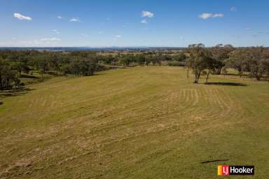 Farm Sold - NSW - Inverell - 2360 - SOLD BY LJ HOOKER INVERELL  (Image 2)