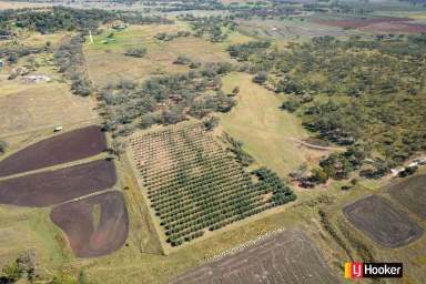 Farm Sold - NSW - Inverell - 2360 - SOLD BY LJ HOOKER INVERELL  (Image 2)