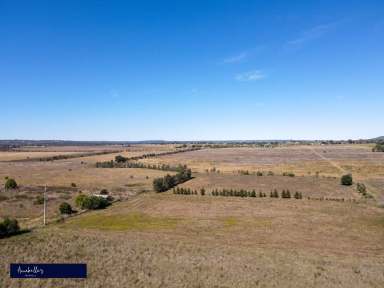 Farm Sold - NSW - Inverell - 2360 - Ideal Fattening, Cropping, Grazing Farm  (Image 2)