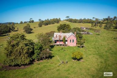 Farm Sold - NSW - Angledale - 2550 - PRIME BEGA LAND - BROGO RIVER FRONTAGE  (Image 2)