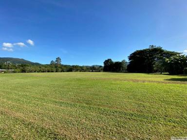 Farm Sold - QLD - Bulgun - 4854 - JUST WAITING FOR YOUR DREAM HOME  (Image 2)