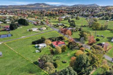 Farm Sold - NSW - Tenterfield - 2372 - Character Home with Acreage.....  (Image 2)