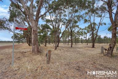 Farm For Sale - VIC - Mockinya - 3401 - Escape to the country  (Image 2)