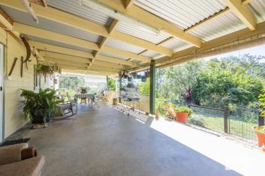 Farm Sold - NSW - Shannondale - 2460 - GATEWAY TO RURAL LIFESTYLE  (Image 2)