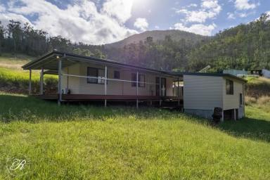 Farm Sold - NSW - Gloucester - 2422 - Hungry Hill – Be Totally Off Grid  (Image 2)