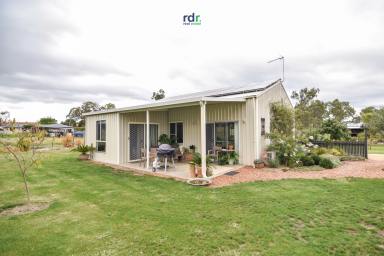 Farm Sold - NSW - Inverell - 2360 - UNDER CONTRACT  (Image 2)