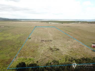 Farm Sold - VIC - Toora - 3962 - PADDOCK FOR THE HORSES  (Image 2)