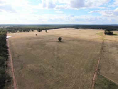 Farm Sold - NSW - Temora - 2666 - 2x 200 Acre mixed farming opportunity  (Image 2)