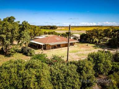 Farm Sold - WA - Narngulu - 6532 - NOW SELLING - 198 Acres of Land & Gorgeous Brick Home  (Image 2)