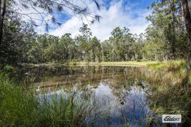 Farm Sold - NSW - Pillar Valley - 2462 - RURAL ESCAPE WITH APPROVED DWELLING  (Image 2)