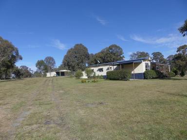 Farm Sold - NSW - Ruby Creek - 4380 - Beautiful country homestead property  (Image 2)
