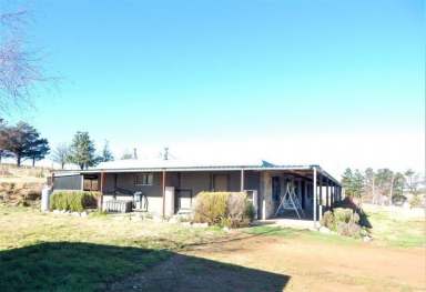 Farm Sold - NSW - Cooma - 2630 - 4 Bedroom House – 144 Acres – Strong Infrastructure  (Image 2)