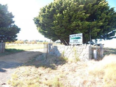 Farm Sold - NSW - Cooma - 2630 - 4 Bedroom House – 144 Acres – Strong Infrastructure  (Image 2)