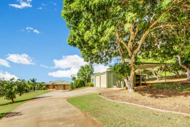 Farm Sold - QLD - Beecher - 4680 - THE SETTING IS PERFECT… ESCAPE FROM SUBURBIA  (Image 2)
