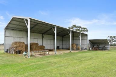 Farm For Sale - NSW - Quipolly - 2343 - FARMER RETIRING - TURNKEY OPPORTUNITY - PRODUCTION POWERHOUSE  (Image 2)