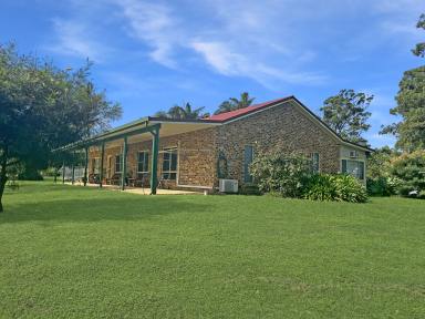 Farm Sold - NSW - Kyogle - 2474 - CHECK THIS ONE OUT!!!  (Image 2)