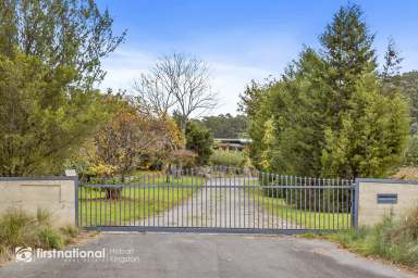 Farm Sold - TAS - Middleton - 7163 - Secret O' Life  (Image 2)