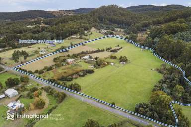 Farm Sold - TAS - Middleton - 7163 - Secret O' Life  (Image 2)