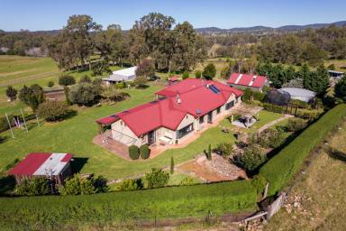 Farm For Sale - NSW - Cobargo - 2550 - Nothing Beats Coastal Country Living.  (Image 2)